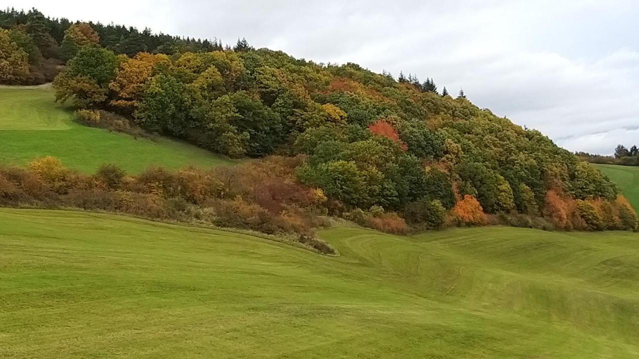 Ferienhaus Wiegmann Villa Mechernich Eksteriør billede